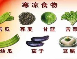寒潮天气(   哪些食物可以御寒)