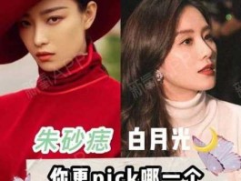 白月光和朱砂痣的区别(你更喜欢哪一种)