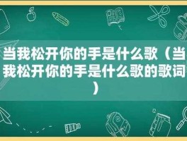 当我松开你的手是什么歌( 我们的未来会是怎样的呢)