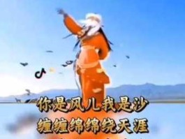 浪迹天涯从此并肩看彩霞是什么歌(这首歌唱的是什么爱情故事)