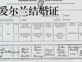 爱尔兰结婚登记(回国后怎么办)