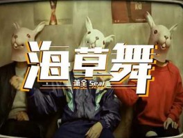 人海啊茫茫啊是什么歌(  是网络神曲海草舞吗)