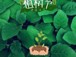 3月12号是什么节日( 是不是植树节)