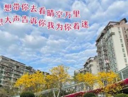 大声告诉你我为你着迷是什么歌(这首歌到底有多动人)